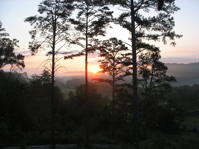 U.S. Mountain land tracts timber farm
